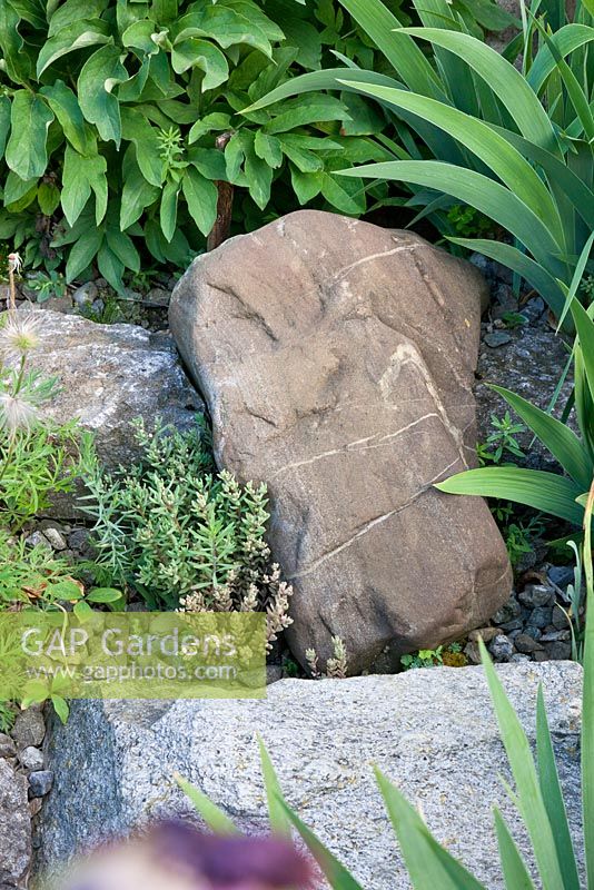 Detail from terracing stone elements, Sedum