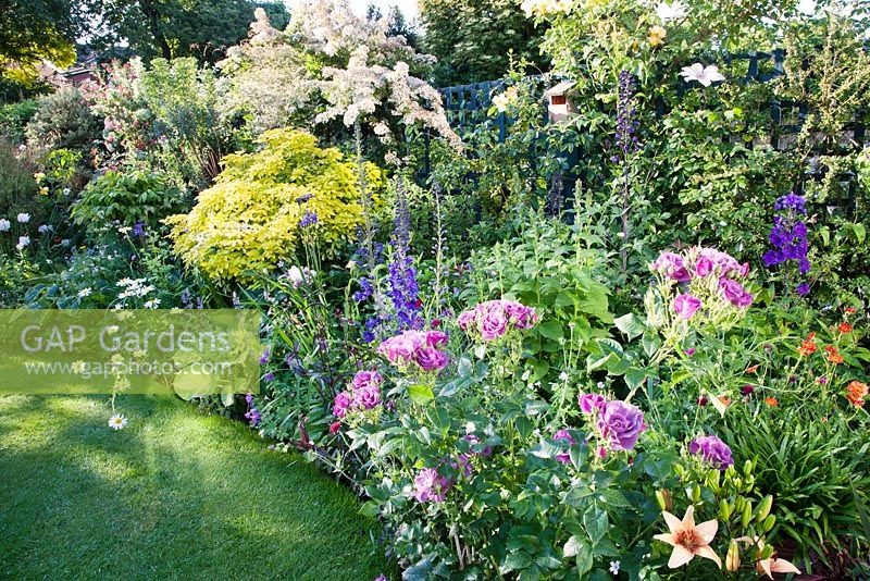 Border around circular lawn includes Lilium 'Zulu', Rosa 'Rhapsody in Blue', Delphinium 'Black Knight', Rosa 'Maigold', Pyracantha, Choisya 'Tenata Sundance', Hosta 'Great Expectations', Stipa gigantea and Euphorbia wulfenii
