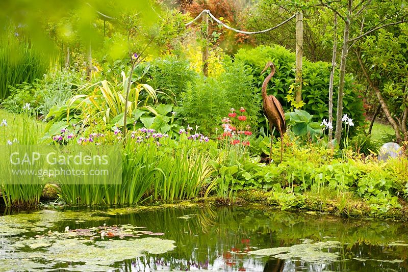 Metal heron sculture standing next to pond planted with Irises, Candelabra primula and Hostas