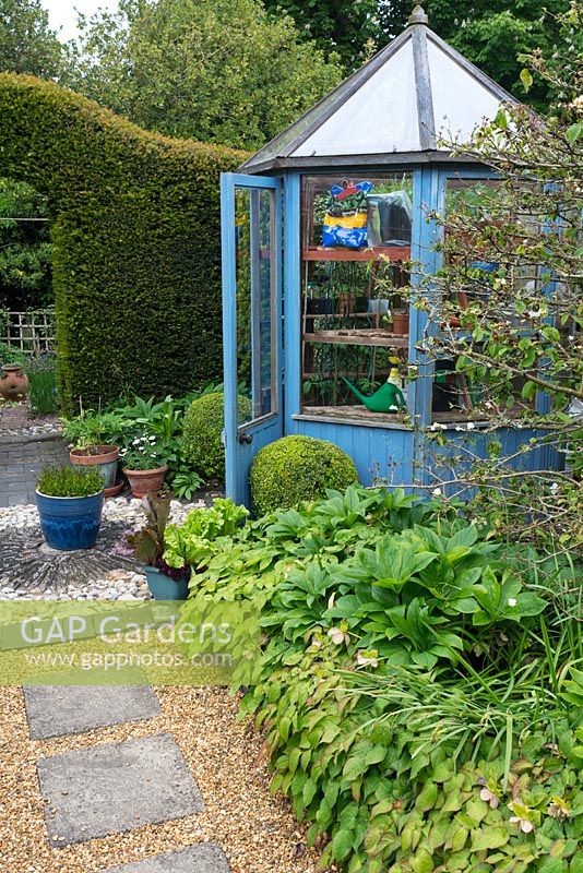 Blue painted, small hexagonal greenhouse in country garden