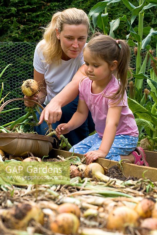 Mother with her five year old daughter in vegetable garden collecting onions.