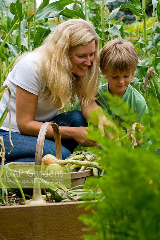 Mother with her seven year old son in vegetable garden collecting onions.