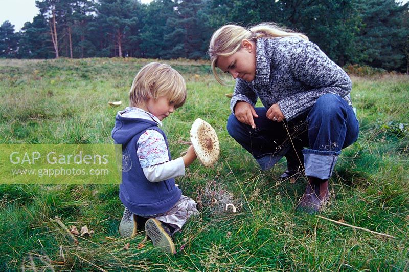 Mother and son studying a parasol mushroom - Macrolepiota procera 