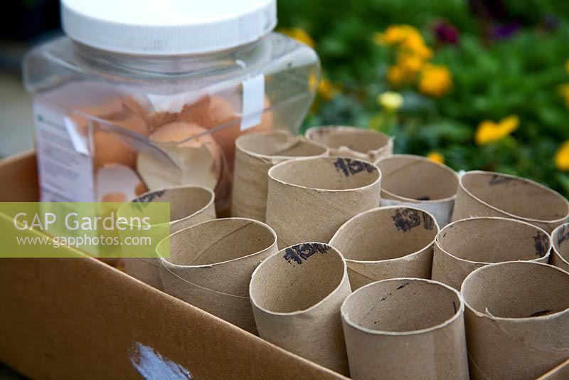 Egg shells are dried and kept to deter slugs.  Cardboard toilet roll holders are used to sew seeds