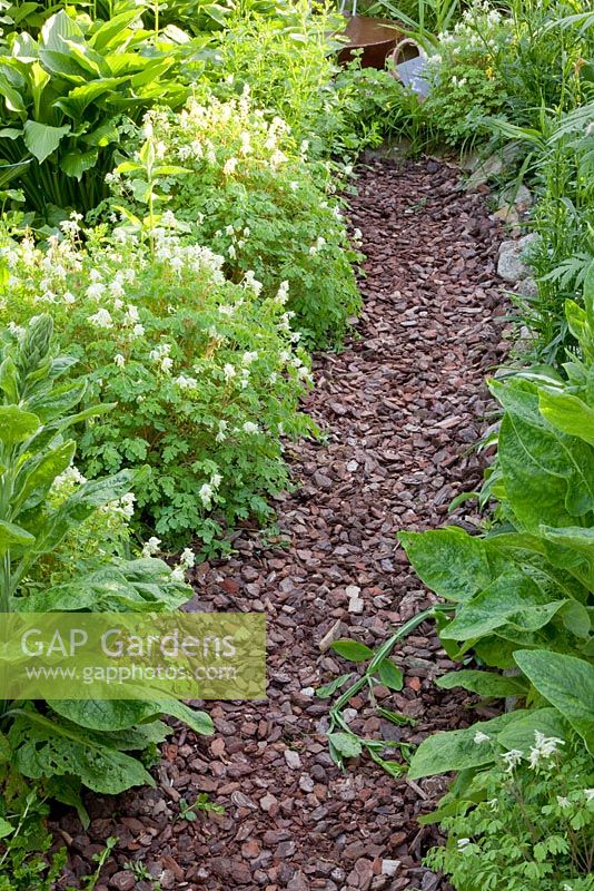 Path with wood chips and planting of Corydalis ochroleuca