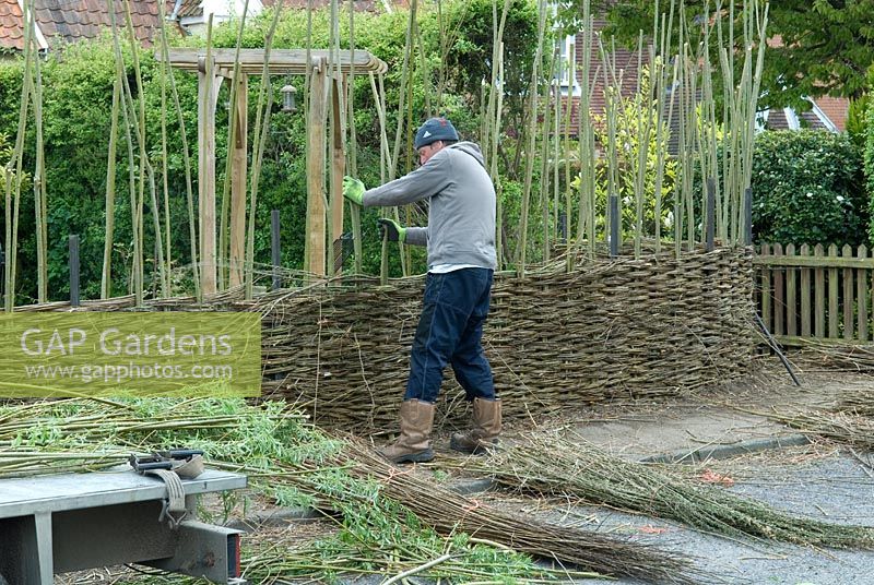 Willow Fence Construction -  Adjustment to uprights to ensure uniformity of weave during course of fence build