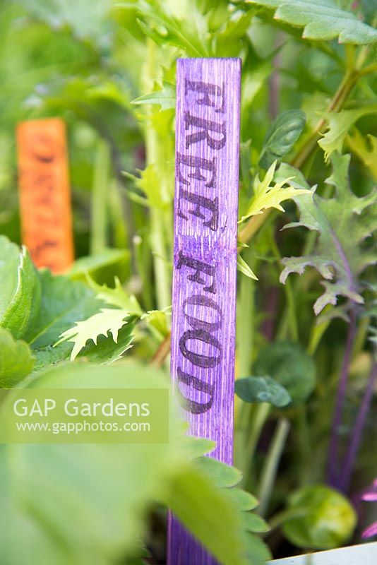 Colourful home-made labels in raised bed