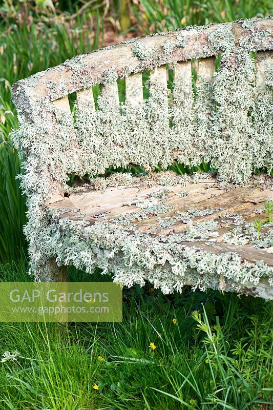 Lichen encrusted bench. Forest Lodge, Pen Selwood, Somerset, UK