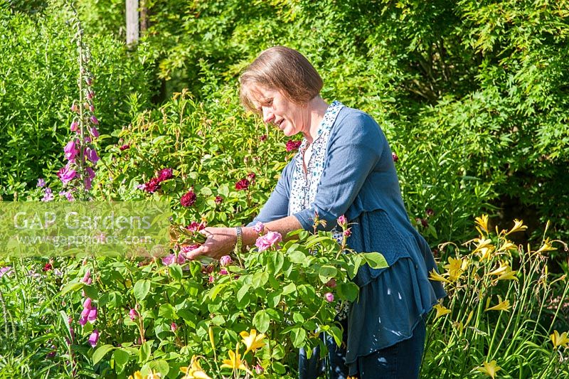 Natasha McEwen in the border. Fowberry Mains Farmhouse, Wooler, Northumberland, UK