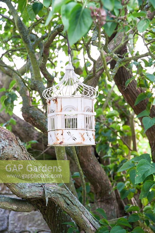 Decorative metal candle holder hanging in a lilac tree. Fowberry Mains Farmhouse, Wooler, Northumberland, UK