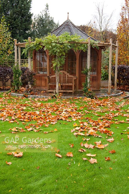 Autumnal garden with wooden Summer house. Planting of Fagus sylvatica 'Dawyck Gold', Betula utilis jacquemontii 'Doorenbos', Trachelospermum jasminoides and Wisteria sinensis 'Prolific'
