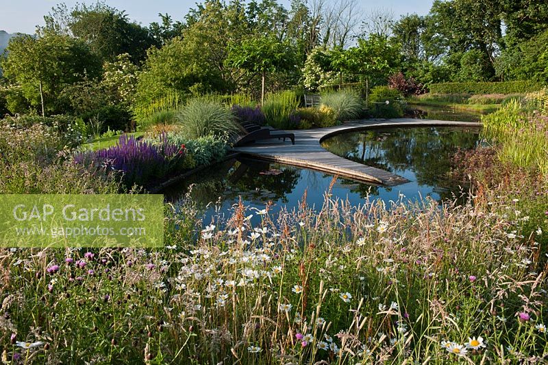 Pond in informal contemporary country garden  Follerds Manor, Sussex United Kingdom 