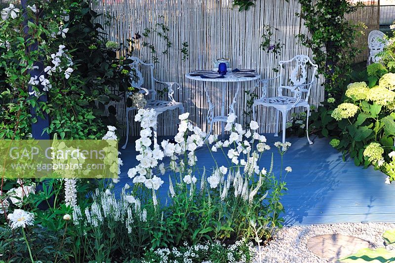 Metal chairs and table. Campanula and lupins in white border, Willow Pattern garden, Hampton Court Flower show 2013, Design -  Sue Thomas