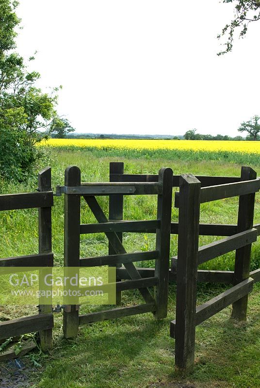 Garden rail fencing with traditional 'kissing gate' opening on to a field of Oilseed Rape and open countryside beyond - Open Gardens Day 2013, Bardwell, Suffolk
