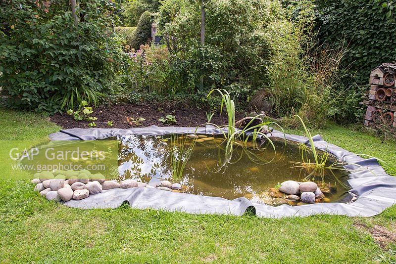 Progress shot with bog garden and plants Filipendula ulmaria 'Queen of the Meadows', Filipendula ulmaria 'Meadow Sweet', Polygonum, Yellow bronse, Wasabi japonica, Eupatorium cannabium - Hemp agrimony and Geum rivale - Water Avens