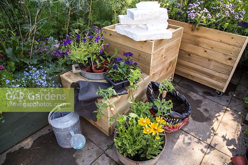 Step by Step - Planting a mobile trug with Verbena rigida, Cape gooseberry and Rudbeckia 'Prairie Sun'