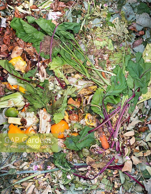 Fruit, flower and plant waste. Garden waste on the compost heap