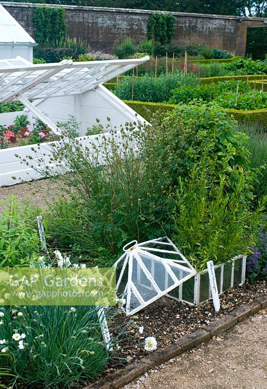 Walled garden with cold frame at West Dean 