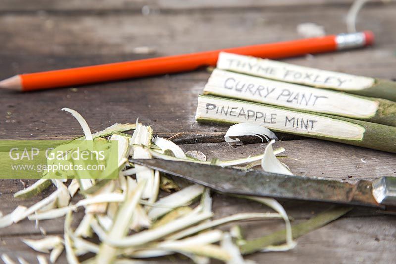 Step by Step - Creating plant labels using cuttings from a willow branch