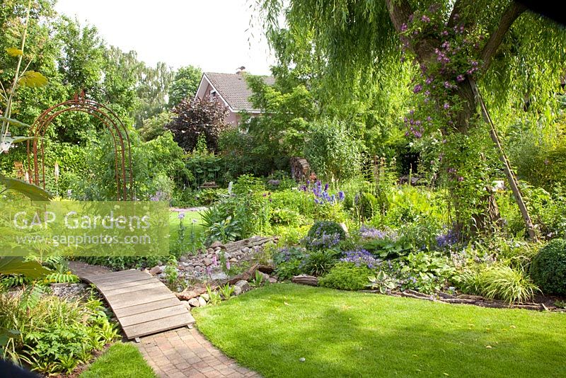 Overview of garden with wooden bridge over stream and planting of Salix babylonica and Rosa Veilchenblau
