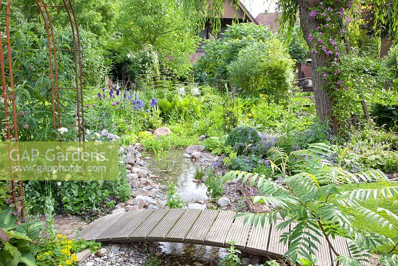 Wooden bridge over stream and planting of Salix babylonica and Rosa Veilchenblau
