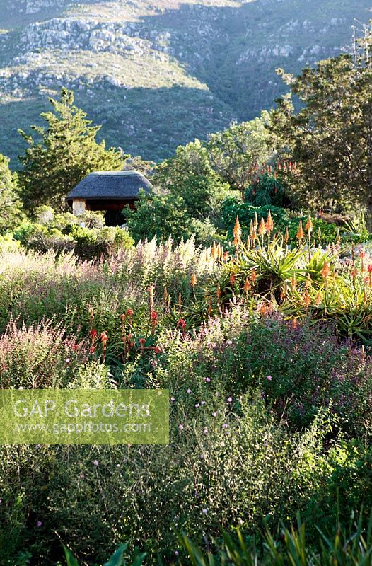 Kirstenbosch Botanical Garden, Cape Town, South Africa
