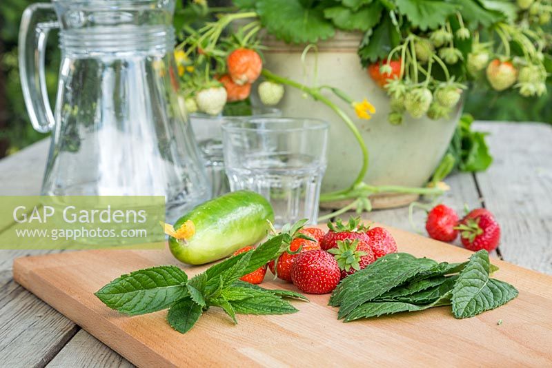 All the required ingredients to make a refreshing Pimm's beverage