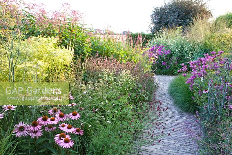 Monarda 'On Parade', Sanguisorba, Persicaria amplexicaulis, Echinacea purpurea 'August Queen'