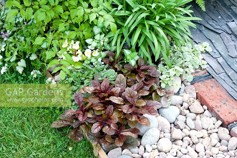 Detail of path made of assorted stone, old bricks and roofing slate with adjacent lawn and bed with Ajuga, Agapanthus, Astilbe and Lamium 