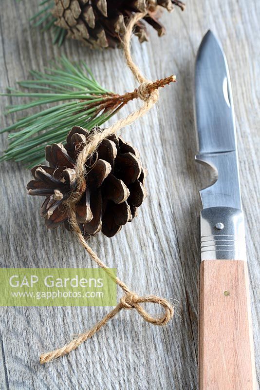 Step by step of making a simple, rustic Christmas garland with fir cones and pine needles - Tie another simple knot two inches from the end, leaving a small loop for a drawing pin or nail to go through. Cut off any excess twine
