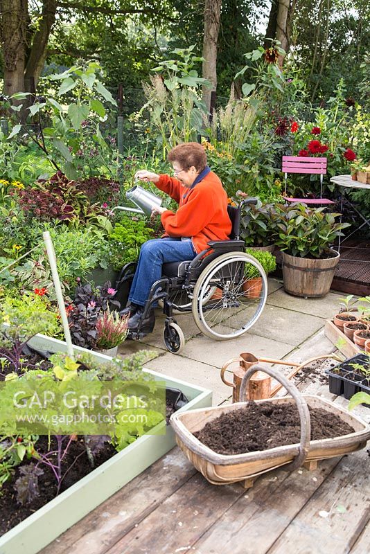 Elderly disabled woman watering a raised bed