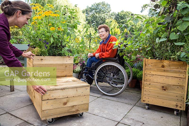 Middle aged woman helping an elderly disabled woman move a mobile trug into position