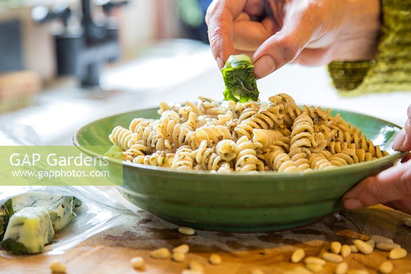 Freshly made pasta pesto dish - using frozen basil