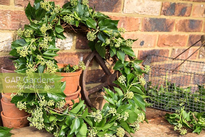 Homemade Ivy Wreath.
