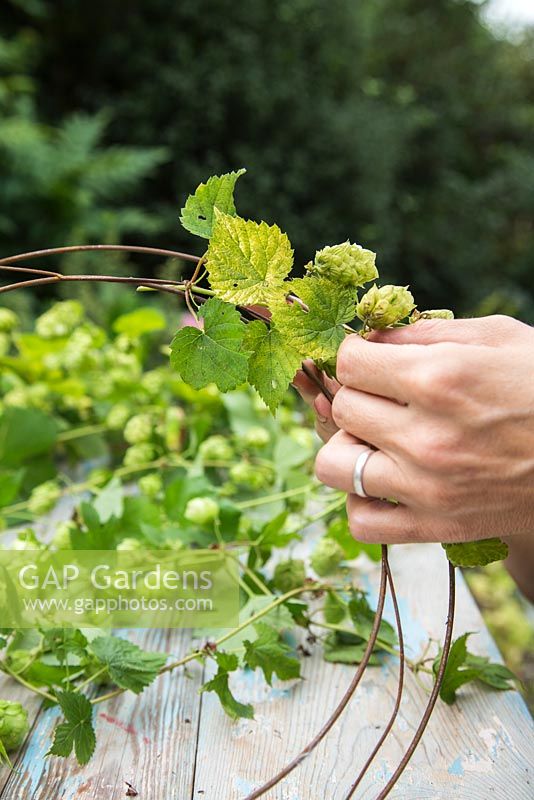 Weaving hops around wire