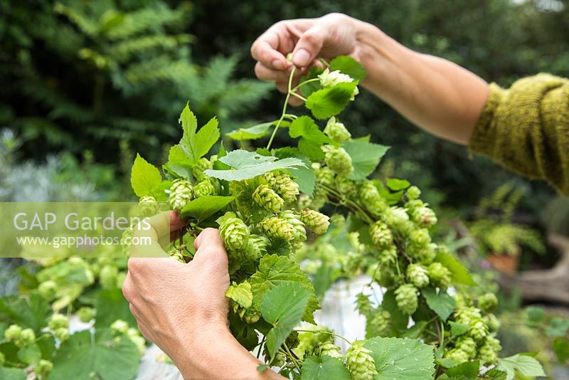 Weaving hops around wire