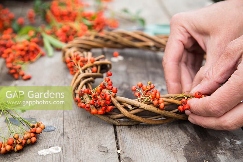 Inserting Pyracantha berries into woven wreath