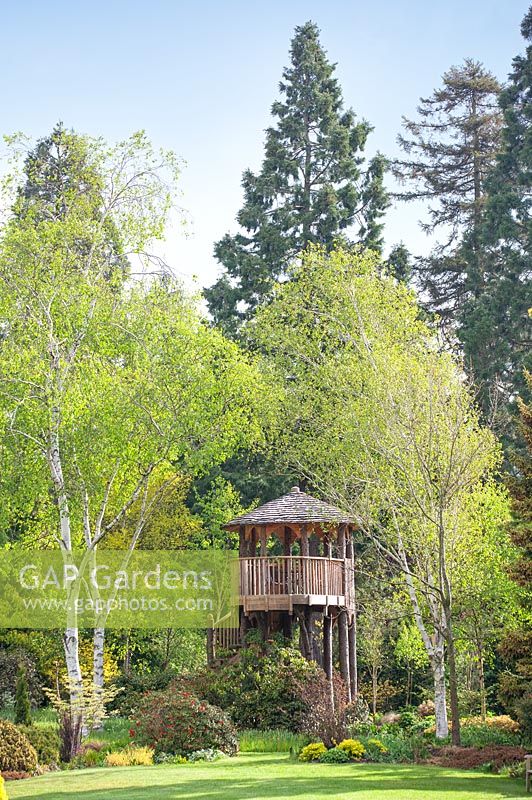 Tree House made from Larch at Foggy Bottom, The Bressingham Gardens, Norfolk, UK