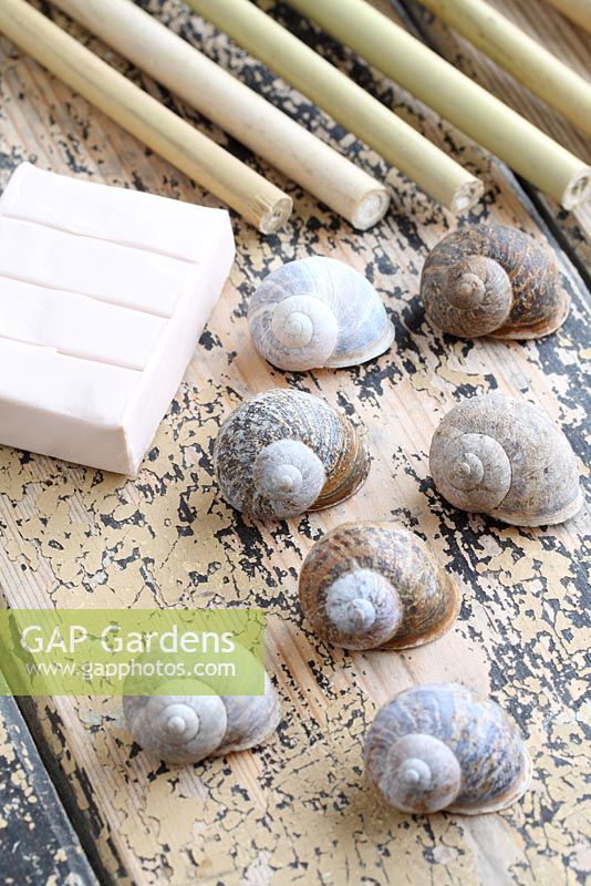 Step by step of making snail shell cane toppers - Snail shells, bamboo canes and modelling clay