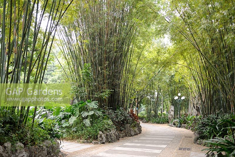 Bamboo Gardens 
