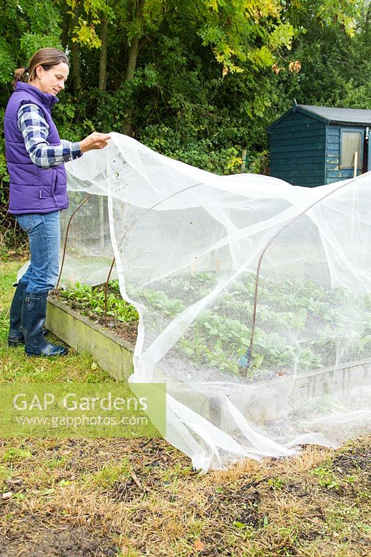 Placing a protective netting over crops in an allotment plot