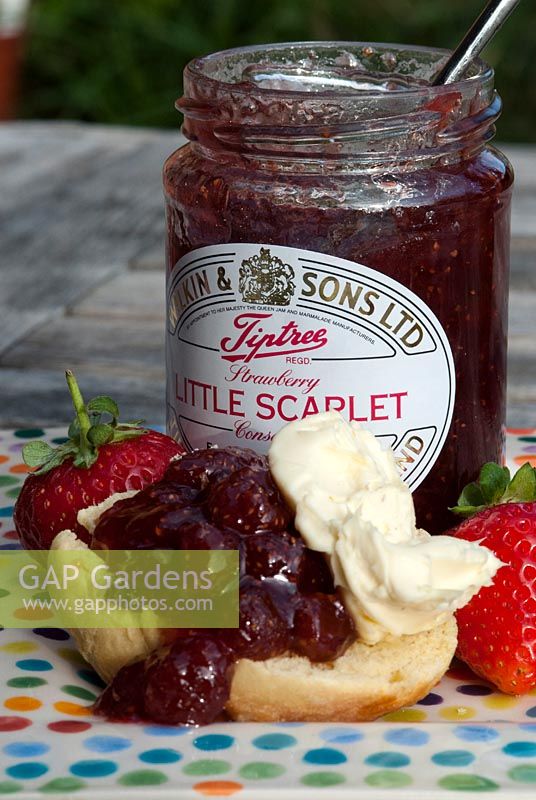 Tiptree 'Little Scarlet' Strawberry Jam with scones, fresh strawberries and clotted cream