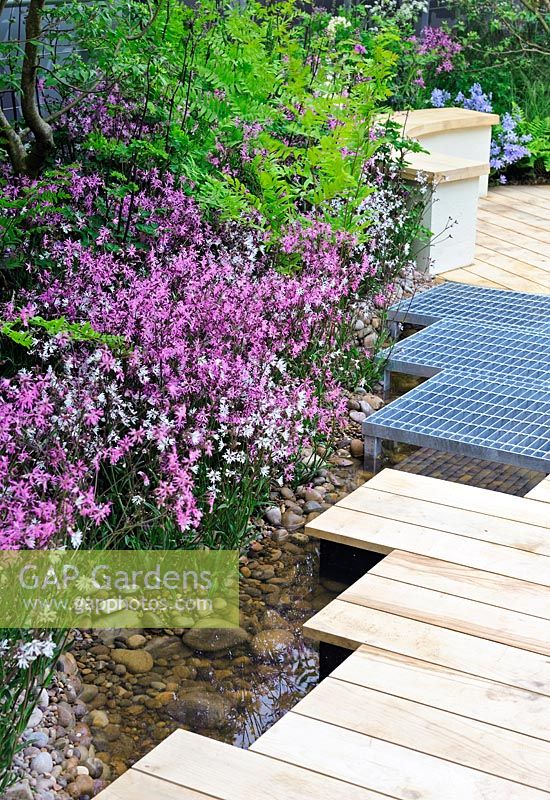 RBC Blue water Roof Garden, Gold medal winner, Chelsea Flower Show 2013. Lychinis flos-cuculi and Lychinis flos-cuculi 'Alba' along the edge of shaliow water