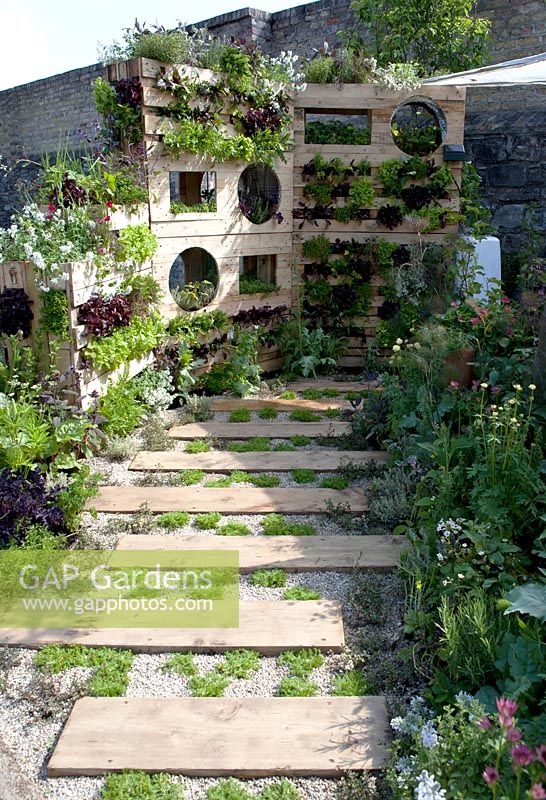Vertical garden from pallets planted with Lettuce green oakleaf, Rosmarinus, Salvia, Origanum, thymus and menthe varieties.