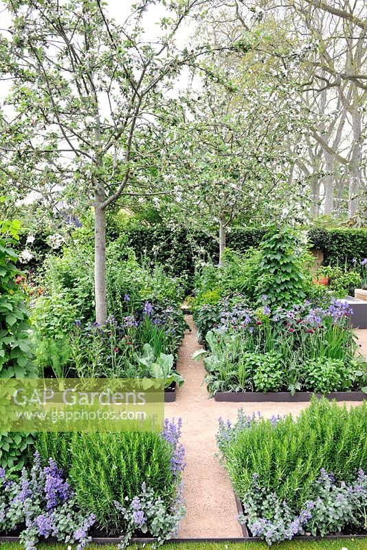 Geometrically shaped family garden with concrete paths, raised borders of herbs, vegetables, flowering perennials and fruit trees 