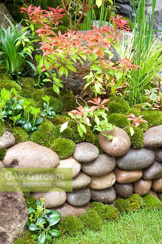 Moss planting and pebble wall - An Alcove Garden