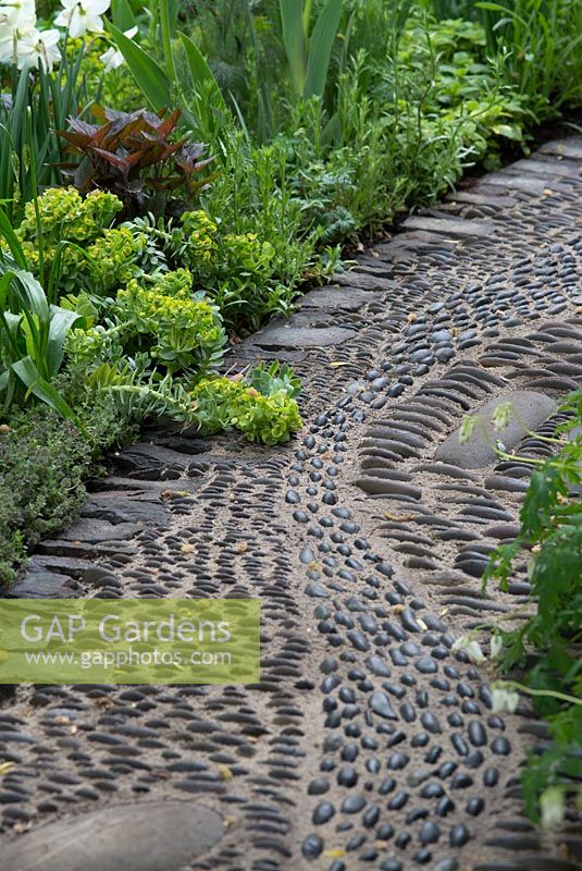 Pebble path designed to stimulate reflexology pressure points. Euphorbia myrsinites in mixed border.  The Get Well Soon Garden 