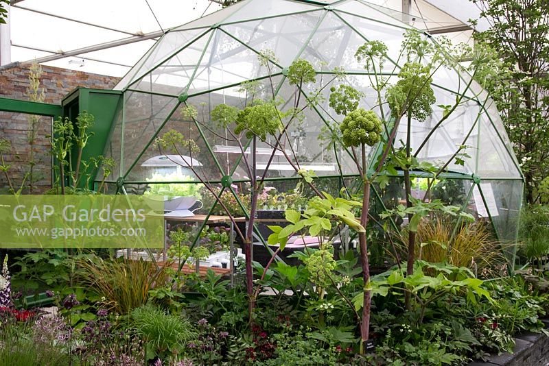 Solardome greenhouse with lit plant propagators. Horticolous Landscape and Garden Design in association with Suttons Seeds Hydrogarden and Solardome