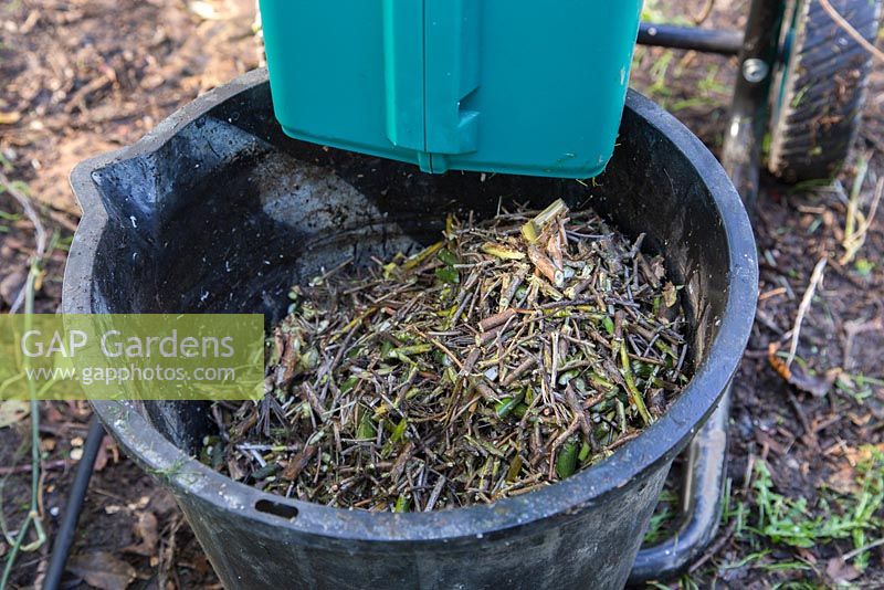 Bucket of shredded branches and cuttings