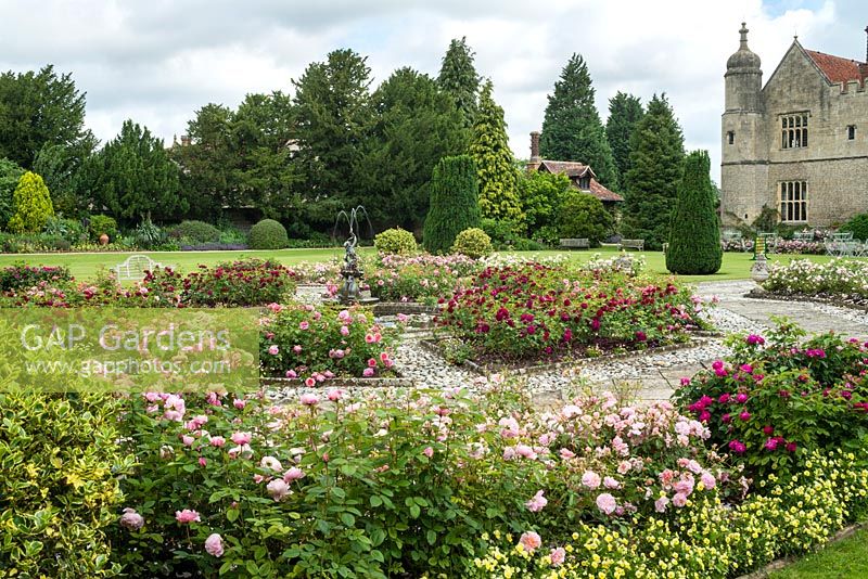 Octagonal rose garden with central pool and fountain. Rosa 'The Alnwick Rose', Rosa 'Anne Boleyn' and Rosa 'Rose de Rescht' in foreground. Rosa  'Princess Alexandra of Kent' and Rosa 'Darcey Bussell' in backgound.